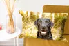 MuchoWow® Zierkissen Sofakissen Wohnzimmer Dekokissen 60x40 Produktbild-Vorschau 6