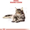A drawing of a Maine Coon cat with technical lines and text indicating the breed. Náhled obrázku produktu