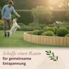 Floranica Beetumrandung Beeteinfassung 10 x 200 cm Natur Produktbild-Vorschau 6