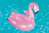 Bestway® 41122 Bestway® Schwimmtier Flamingo pink Podgląd zdjęcia produktu 40