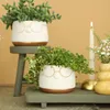 Blumenübertöpfe "Frieda" aus Keramik mit Brille mit Produktbild-Vorschau 4