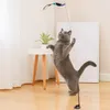 A gray cat stands on its hind legs, playing with a dangling bird toy attached to a string and suction cup base. Voir les images du produit