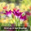 Purple flowers with water droplets in the rain with text at the bottom. Anteprima dell’immagine prodotto
