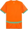 Puma Ivory Coast Replica 2025 Heim Kurzarm-t-shirt Orange L Produktbild-Vorschau 2