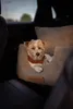 Hundeautositz personalisiert mit Namen für Rückbank mit Produktbild-Vorschau 7