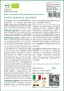 SAFLAX  - BIO - Cavoletti di Bruxelles - Groninger - 30 Anteprima dell’immagine prodotto 3