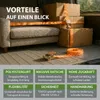 5x Spanngurt mit Ratsche 1-tlg 4m 800kg 25mm orange Produktbild-Vorschau 9