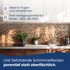 AGO Set 4-teilig Schimmelentferner & Schimmelstop je 500ml/ Produktbild-Vorschau 6