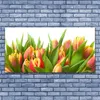 Glasbilder 140x70 Wandbild Druck auf Glas Tulpen Pflanzen Produktbild-Vorschau 2