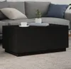 VidaXL 839876, Schwarz Produktbild-Vorschau 9