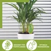 Scheurich Wasserspender Bördy M | 4 x Grün | 220ml Produktbild-Vorschau 3