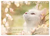 Katzen 2027 Bezaubernde Samtpfoten (Tischkalender 2027 DIN Produktbild-Vorschau 1