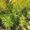 esotec Solar Bewässerungssystem WaterSpray Garten Produktbild-Vorschau 4