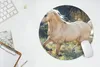 MuchoWow® Mauspad Mousepad Pferd - Natur - Braun 40x40 cm - Produktbild-Vorschau 5
