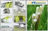 GFK- Bewehrung 2m/Stücke Baustahl Betonstahl Moniereisen Produktbild-Vorschau 10