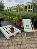 Flaschenpalme 80-120 cm Hyophorbe lagenicaulis Zimmerpalme Produktbild-Vorschau 6
