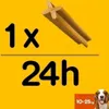 PEDIGREE® DENTASTIX™ Daily Oral Care Carton Mega Pack Voir les images du produit 4