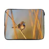 MuchoWow® Laptop Hülle 15 Zoll Vögel - Blaukehlchen - Produktbild-Vorschau 1