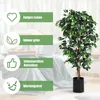 Plante d'intérieur décorative de 180 cm, plante Voir les images du produit 1