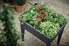 A raised garden bed filled with various plants, including tomatoes, herbs, and leafy greens, placed on a brick patio. Náhled obrázku produktu