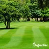 Eisensulfatdünger - Moosentferner - 5kg - für 250m2- Produktbild-Vorschau 10