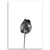 Leinwandbild blume mit stiel 40x60 cm Feeby grau wandbild Produktbild-Vorschau 3