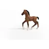 Schleich 13947 Cavallo Club Oldenburg puledro Anteprima dell’immagine prodotto 2