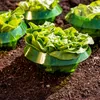 Pflanzenschutzring Salatringe 20 Stück Ø 19 cm 12 cm hoch Produktbild-Vorschau 2