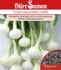 Dürr-Samen - Frühlingszwiebeln Vaugirard Weiße - Saatgut - Produktbild-Vorschau 1