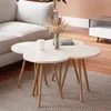 A set of nesting coffee tables with a vase of dried flowers and a book on top, placed on a rug next to a sofa. Náhled obrázku produktu