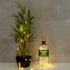 A bottle of Tullamore Dew Irish Whiskey with fairy lights wrapped around it, next to a potted plant with fairy lights. Produktbild-Vorschau