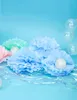 Pompon Ø 25 cm azzurro Anteprima dell’immagine prodotto 4