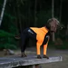 Non-stop dogwear Hundeanzug für Rüden Protector Suit M Produktbild-Vorschau 3