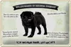 Blechschild Spruch 30x20cm Tiere Mops willkommen Zuhause Produktbild-Vorschau 1