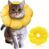 A cat wearing a yellow sunflower-shaped collar is shown against a white background. A separate collar is placed to the right of the cat. Produktbild-Vorschau