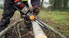 WORX Řetězová pila AKU WG350E.9 (bez AKU) Náhled obrázku produktu 5