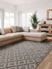 Interiyou Teppich Lecce Hellgrau D1 160x230 cm Produktbild-Vorschau 2