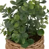 Künstlicher eukalyptus im topf "jaye" h27cm  - Atmosphera Produktbild-Vorschau 2