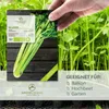 Selleriesamen (Tall Utah, 250 Korn) - Staudensellerie Produktbild-Vorschau 2
