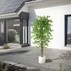 ML-Design sztuczna roślina Ficus 180cm sztuczne rośliny Podgląd zdjęcia produktu 8