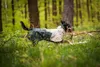 Non-stop dogwear Regenmantel Fjord raincoat 2.0 grau, Produktbild-Vorschau 22