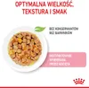 A close-up of cat food in a bowl with marketing text and a logo. Produktbild-Vorschau