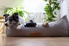 Cuccia ortopedica per cani di grossa taglia, Materasso per Anteprima dell’immagine prodotto 2