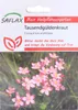 SAFLAX - Centaury - Centaurium erythraea - 250 Semená Náhľad obrázku produktu 4