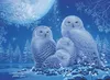Sovy v mesanom svite Ravensburger 12000479 Náhľad obrázku produktu 2