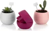 Set di 6 vasi da fiori color tortora Vasi resistenti ai Anteprima dell’immagine prodotto 14