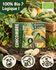 ZenGreens® Graines Bio de Concombres – Set 6 Variétés Voir les images du produit 3