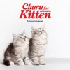 INABA CHURU KITTEN Kurczak - przysmak dla kociąt 4 x 14 g Podgląd zdjęcia produktu 5
