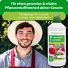 Purgrün Geraniendünger 1 Liter, Produktbild-Vorschau 2