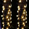 Two strings of star-shaped fairy lights wrapped around tree trunks at night. Anteprima dell’immagine prodotto
